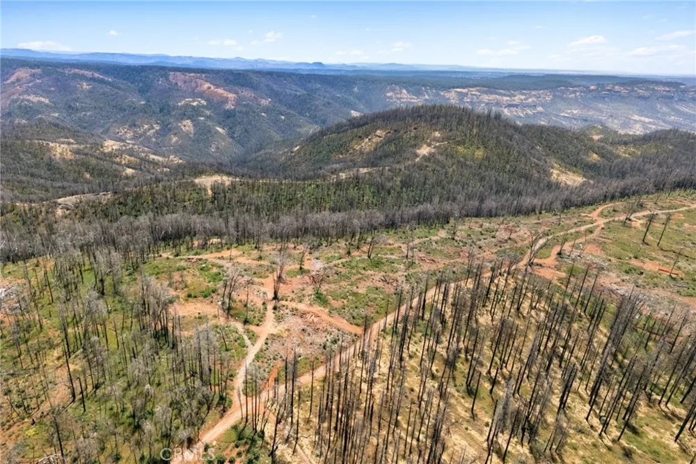 335 Mann And Nolta Ridge Chico, CA 95973