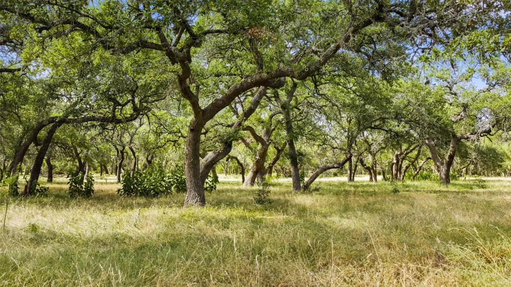 3310 Ranch Road 165 Blanco, TX 78606