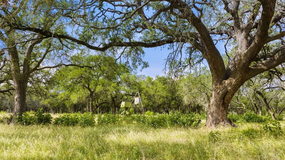 3310 Ranch Road 165 Blanco, TX 78606