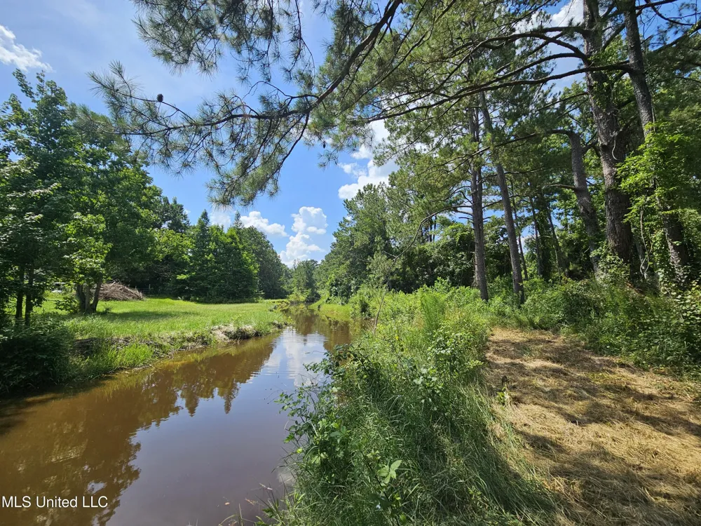 14 Jolly Roger Point Carriere, MS 39426