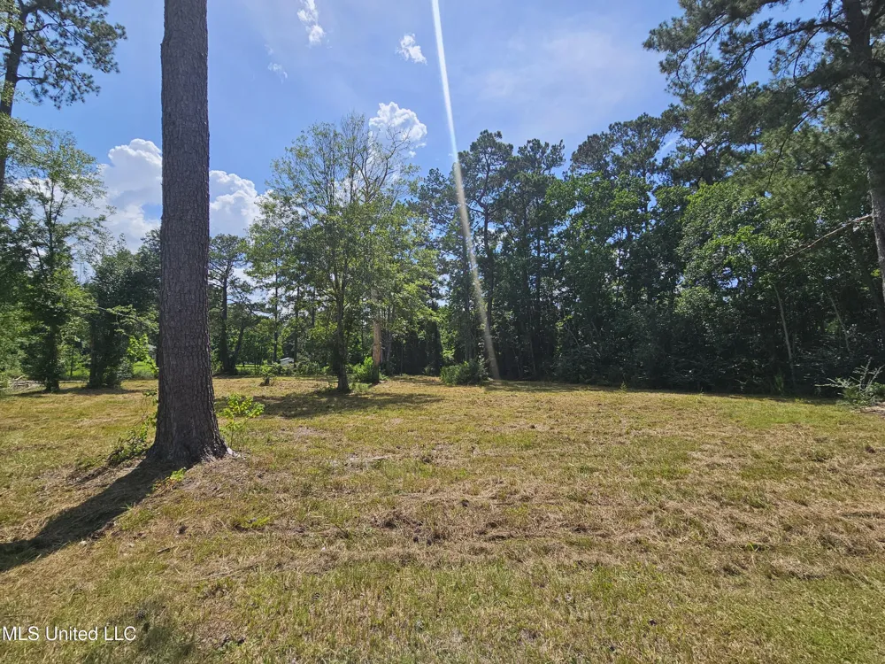 14 Jolly Roger Point Carriere, MS 39426