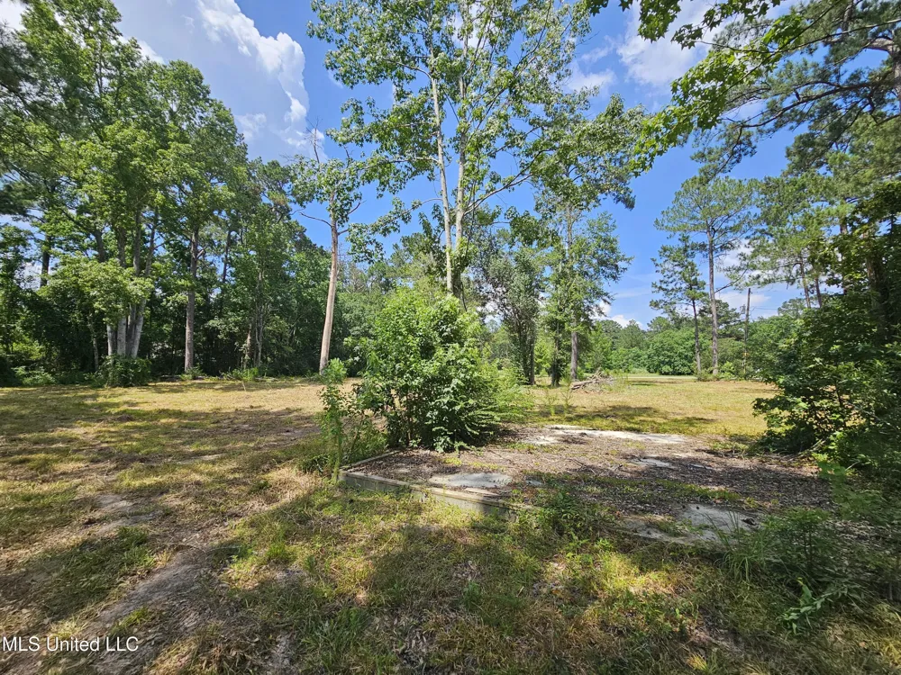 14 Jolly Roger Point Carriere, MS 39426