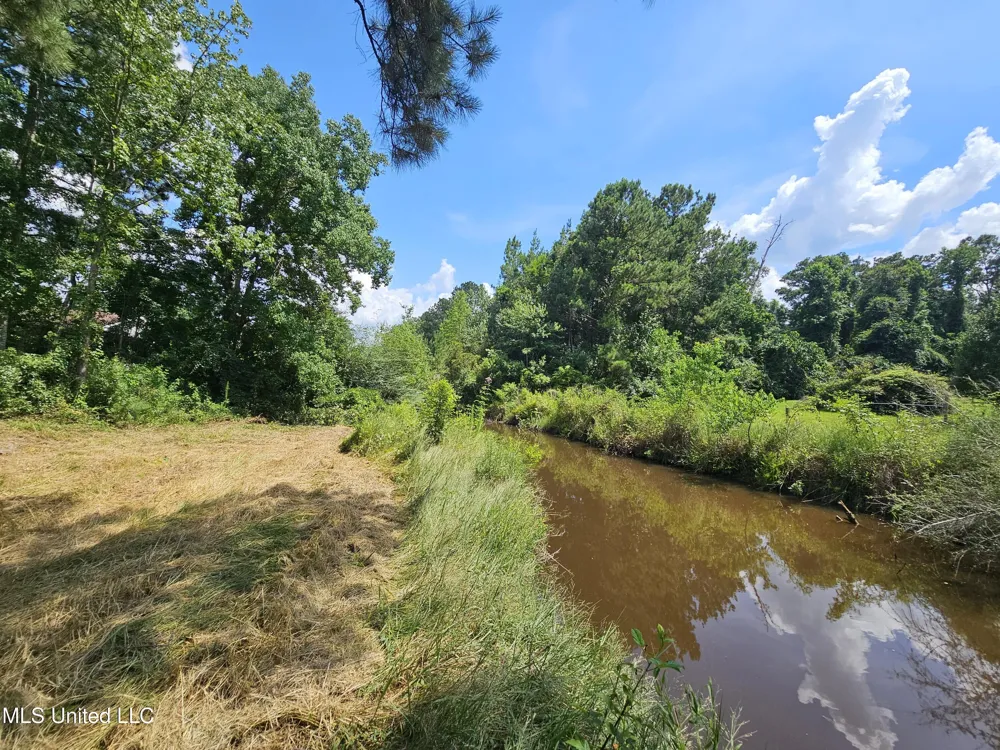 14 Jolly Roger Point Carriere, MS 39426