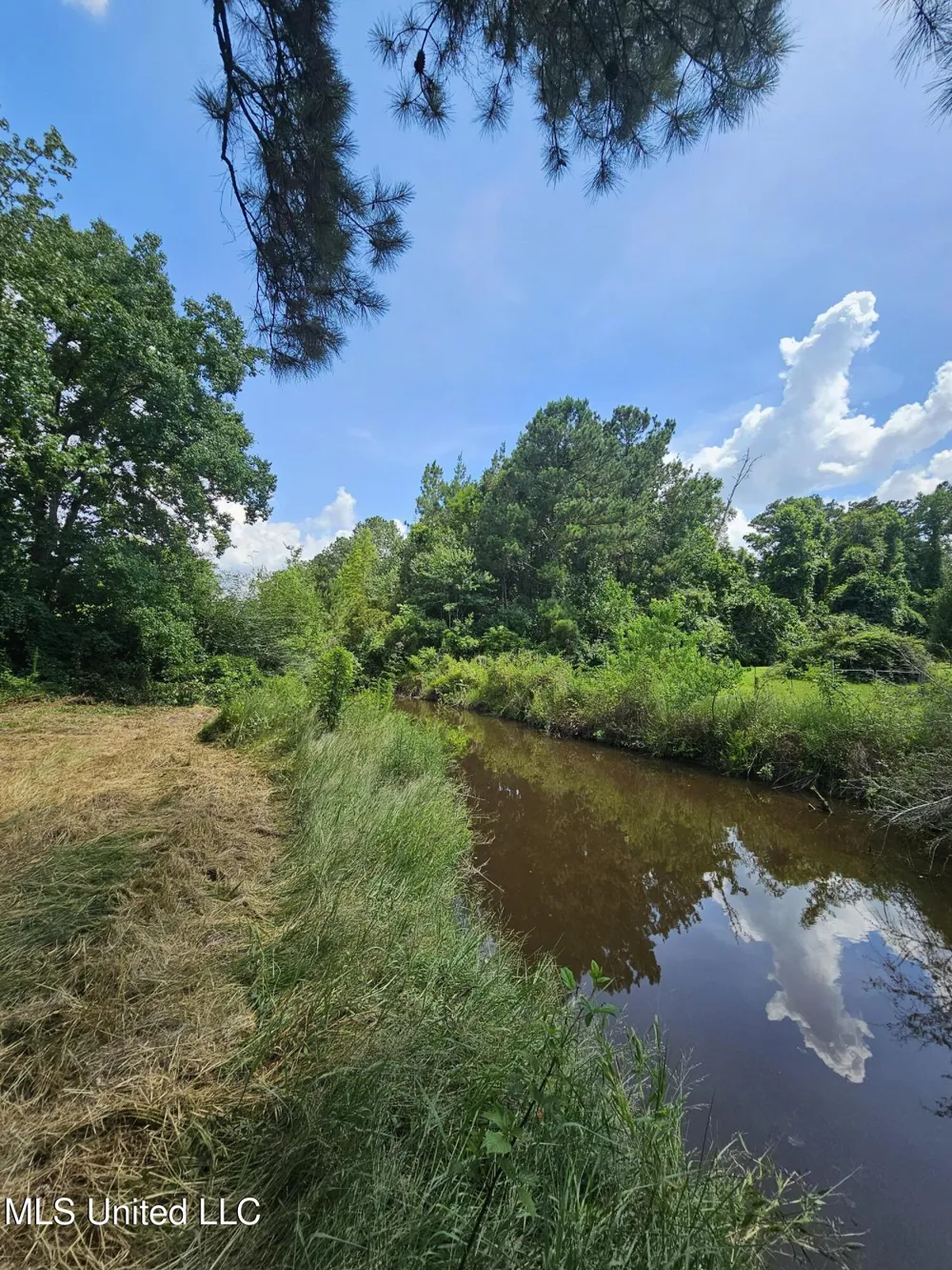 14 Jolly Roger Point Carriere, MS 39426