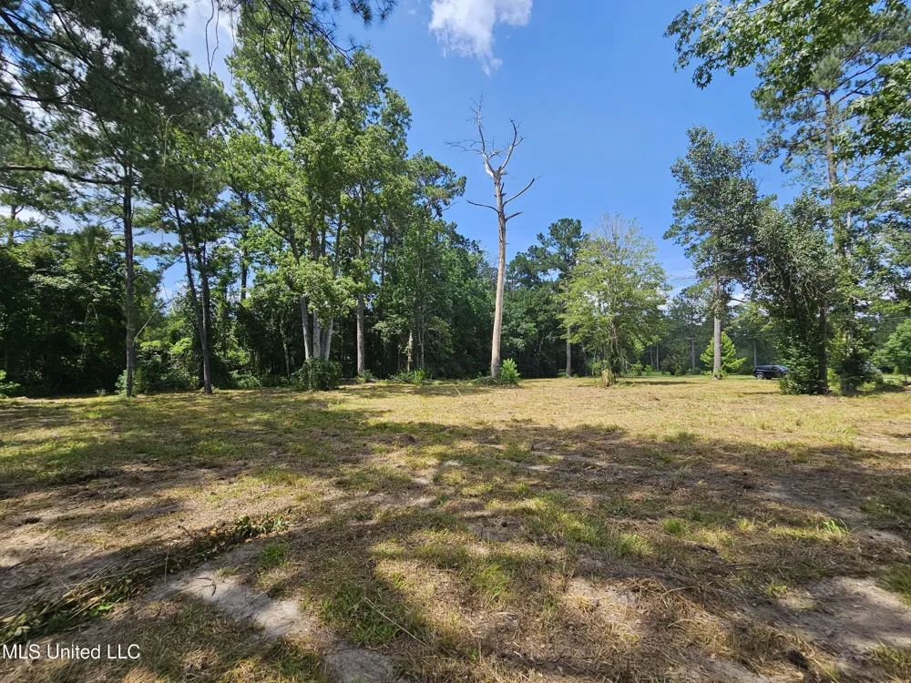 14 Jolly Roger Point Carriere, MS 39426