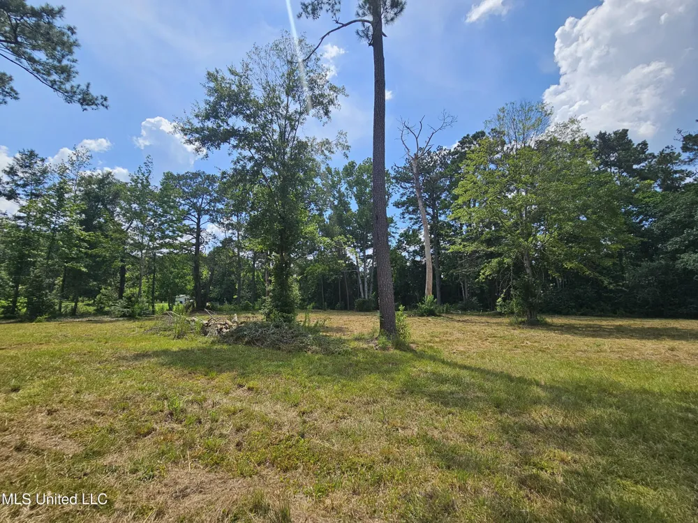 14 Jolly Roger Point Carriere, MS 39426