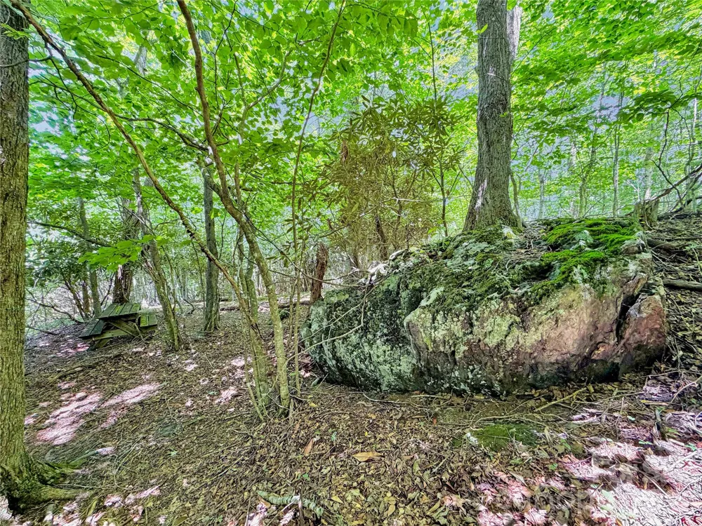 321 Grays Shadow Lane Banner Elk, NC 28604