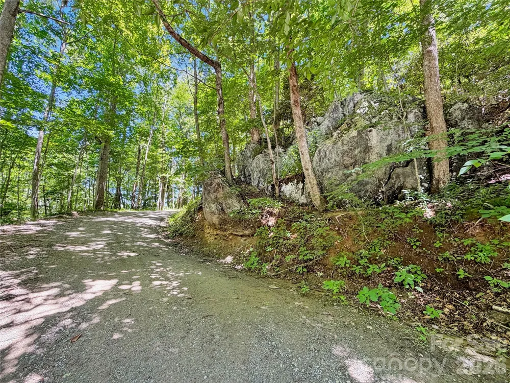 321 Grays Shadow Lane Banner Elk, NC 28604