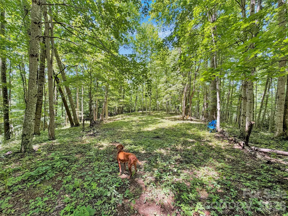 321 Grays Shadow Lane Banner Elk, NC 28604