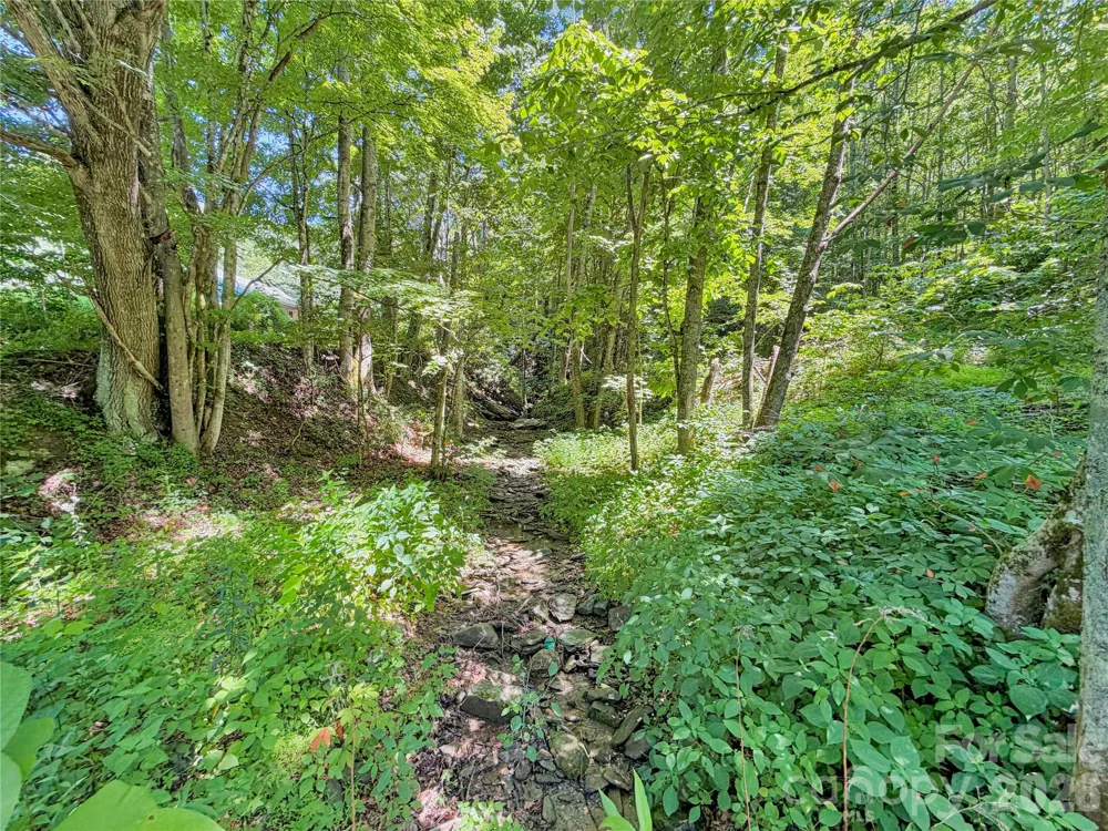 321 Grays Shadow Lane Banner Elk, NC 28604