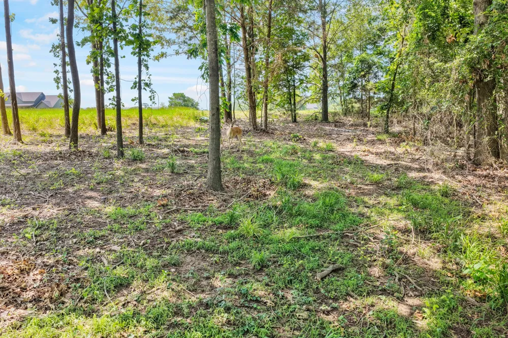 Private Road 2712 Mt Pleasant, TX 75455