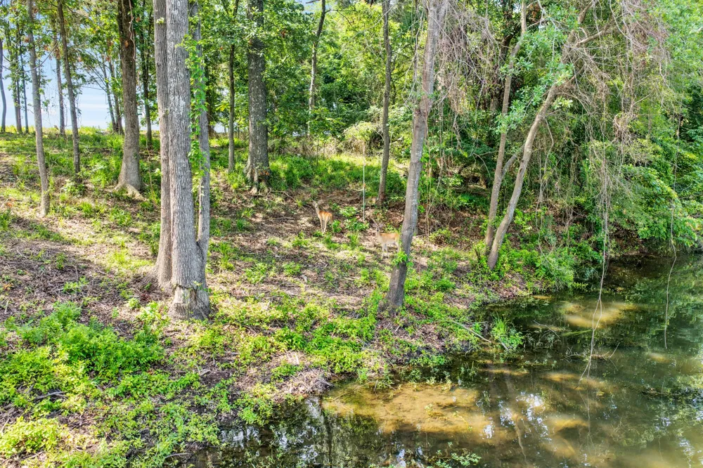 Private Road 2712 Mt Pleasant, TX 75455