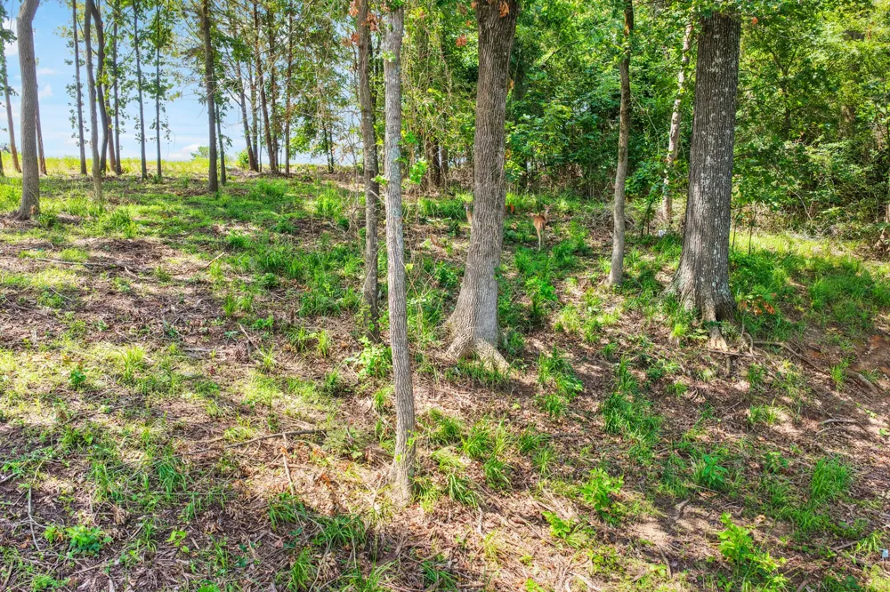 Private Road 2712 Mt Pleasant, TX 75455