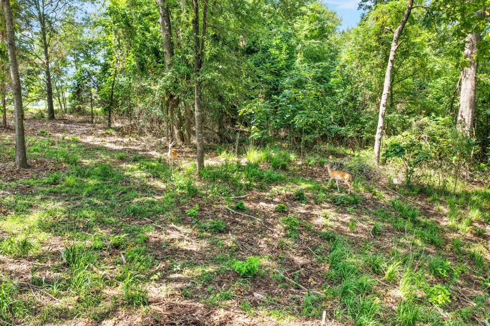 Private Road 2712 Mt Pleasant, TX 75455