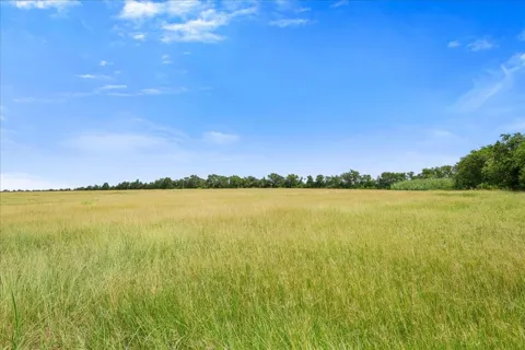 Tx 159