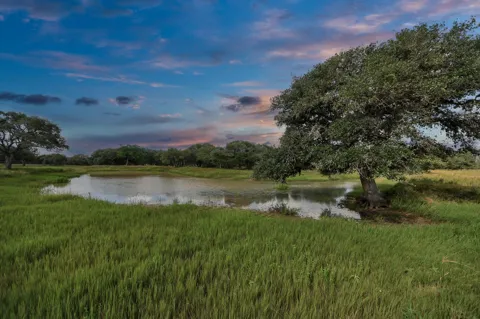 Wild Wing Preserve Lot 62 Gadwall