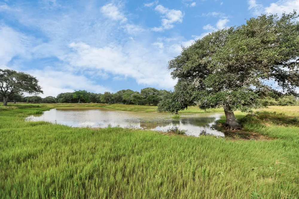 Wild Wing Preserve Lot 62 Gadwall Columbus, TX 78934