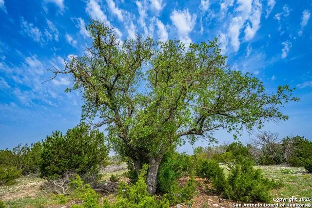 TBD 74240 Rocksprings, TX 78880