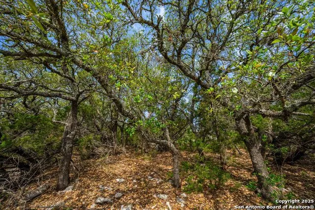 TBD 74240 Rocksprings, TX 78880