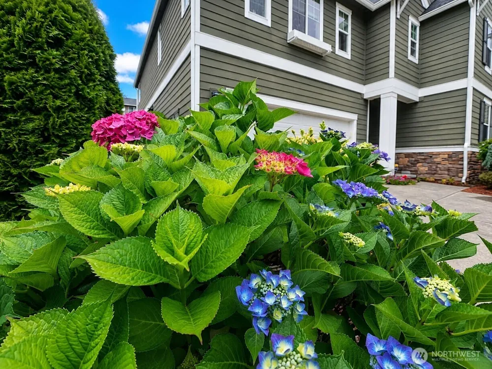 4960 S 325th Court Auburn, WA 98001