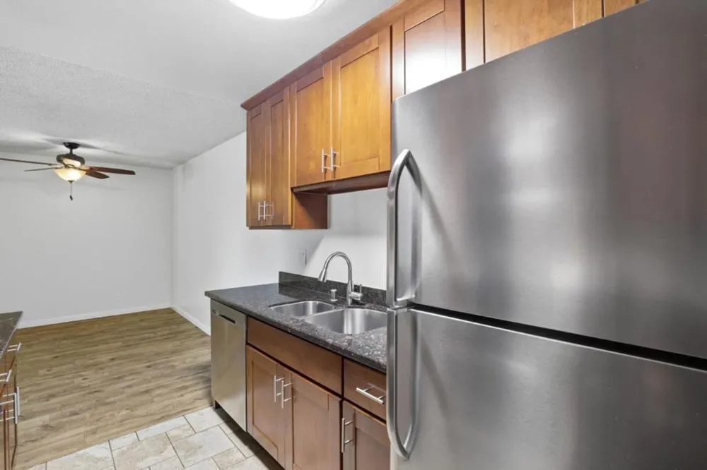 259 Capitol Avenue #291 San Jose, CA 95127