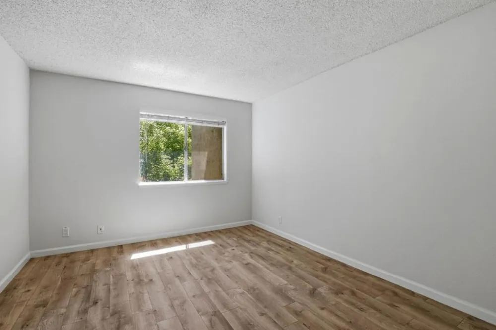 259 Capitol Avenue #291 San Jose, CA 95127