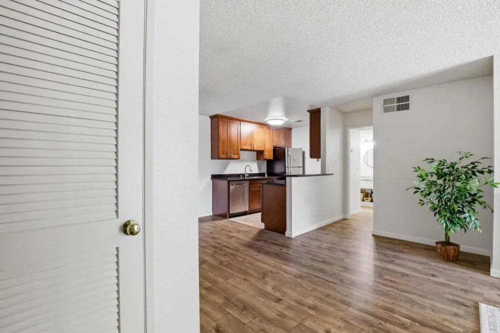 259 Capitol Avenue #291 San Jose, CA 95127