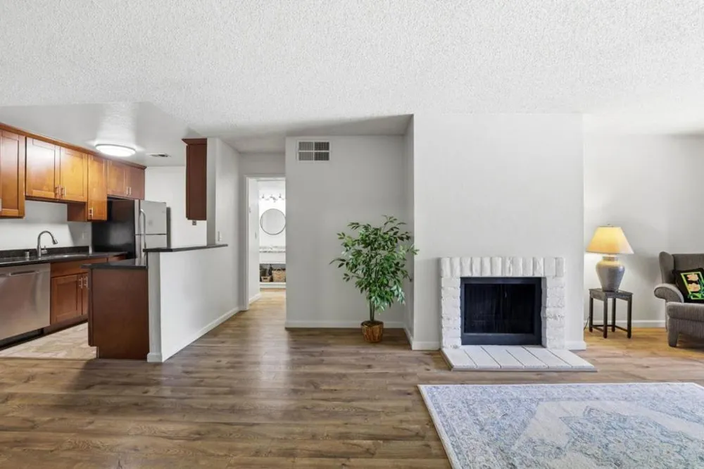 259 Capitol Avenue #291 San Jose, CA 95127