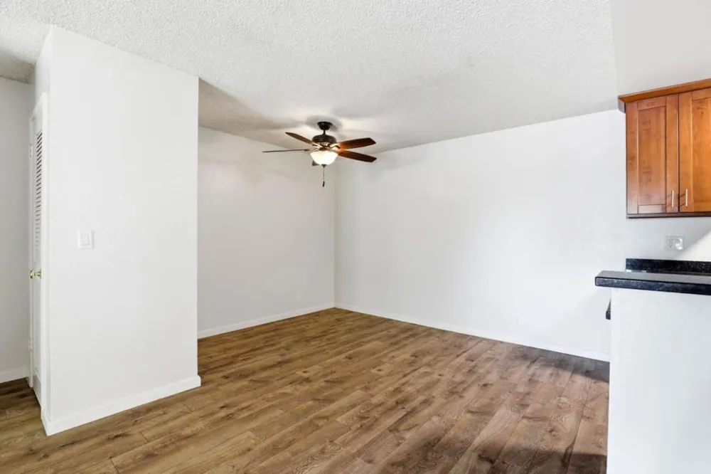 259 Capitol Avenue #291 San Jose, CA 95127