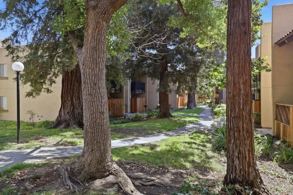 259 Capitol Avenue #291 San Jose, CA 95127