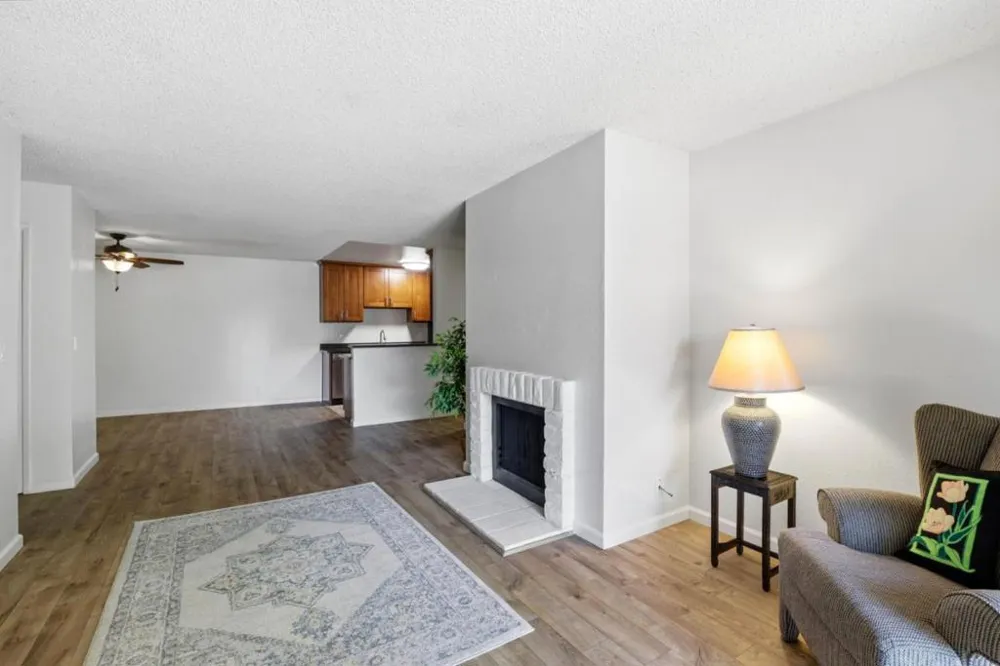 259 Capitol Avenue #291 San Jose, CA 95127