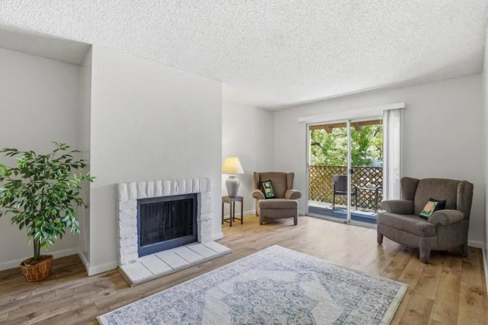 259 Capitol Avenue #291 San Jose, CA 95127