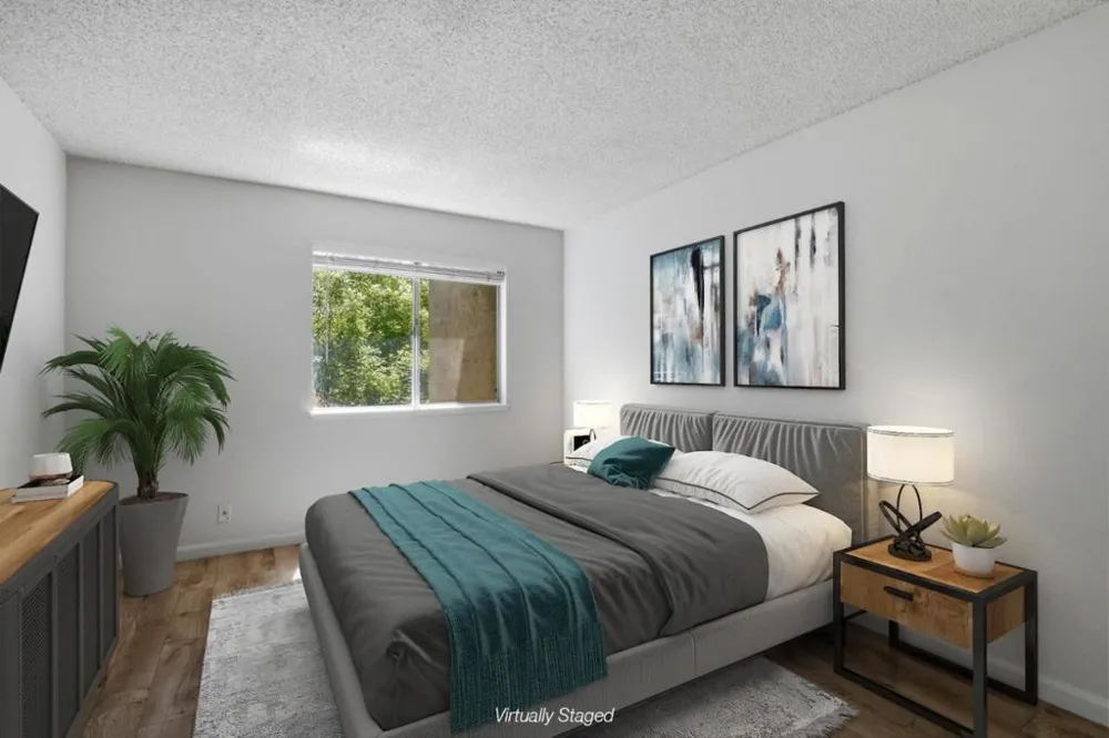 259 Capitol Avenue #291 San Jose, CA 95127