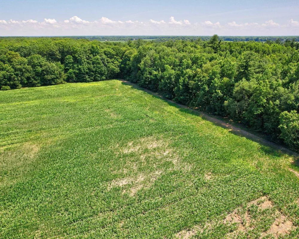 Curtis Road Frankenmuth Township, MI 48734