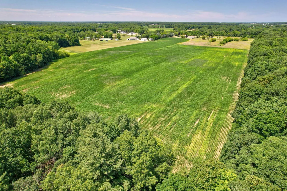 Curtis Road Frankenmuth Township, MI 48734