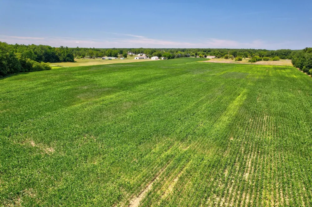 Curtis Road Frankenmuth Township, MI 48734