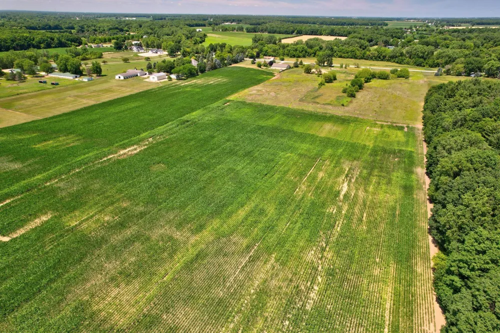 Curtis Road Frankenmuth Township, MI 48734