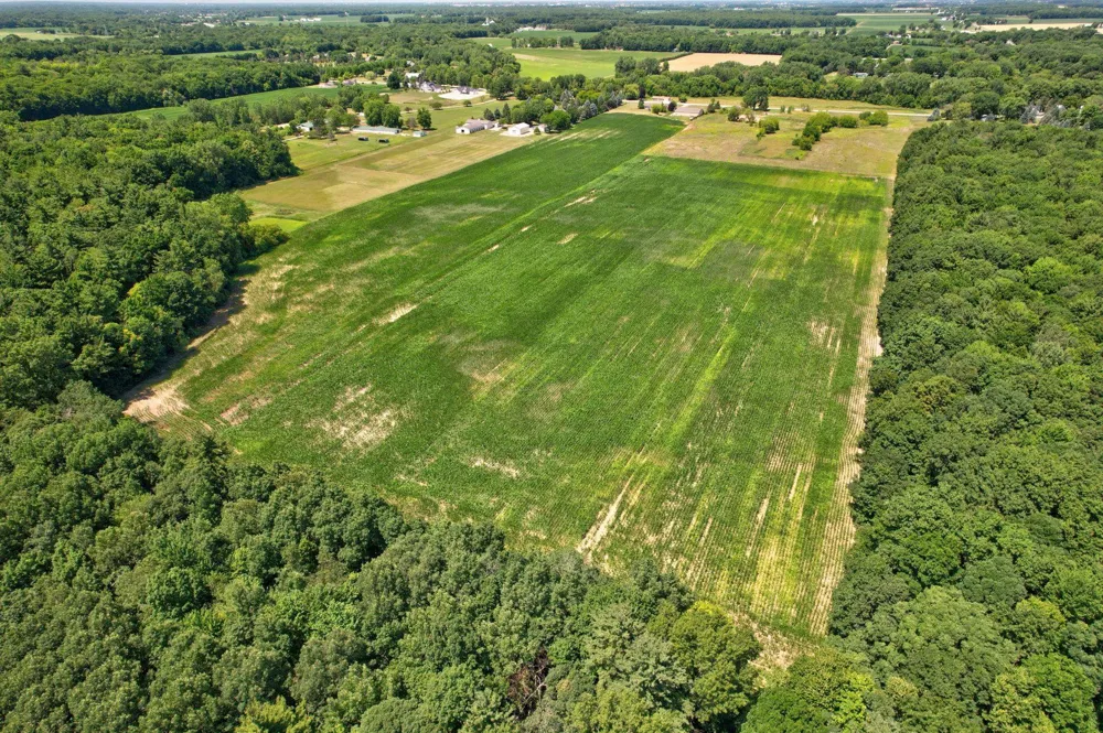 Curtis Road Frankenmuth Township, MI 48734