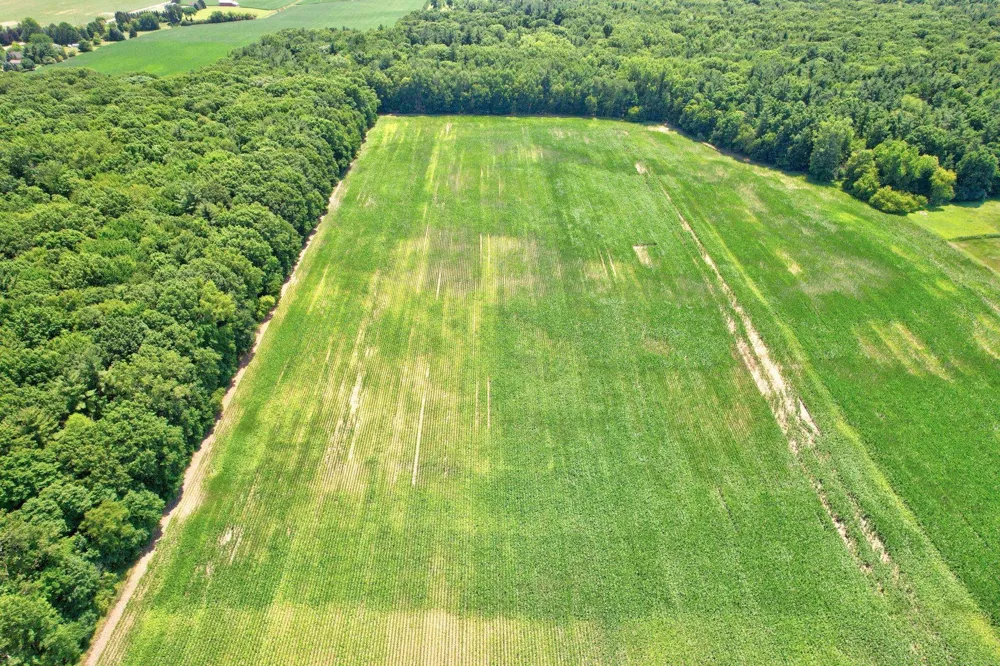 Curtis Road Frankenmuth Township, MI 48734