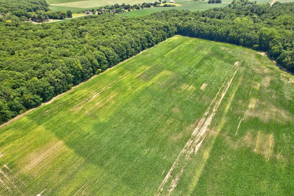 Curtis Road Frankenmuth Township, MI 48734