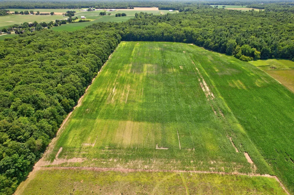 Curtis Road Frankenmuth Township, MI 48734