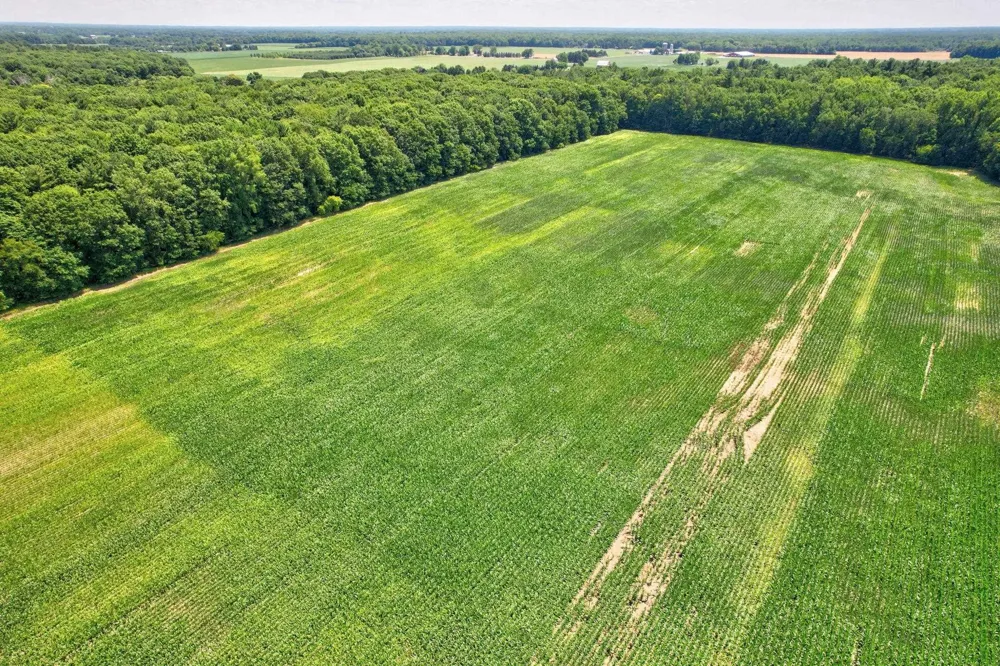 Curtis Road Frankenmuth Township, MI 48734