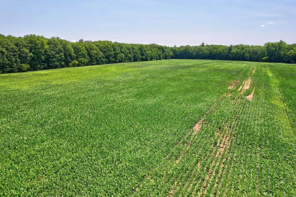 Curtis Road Frankenmuth Township, MI 48734