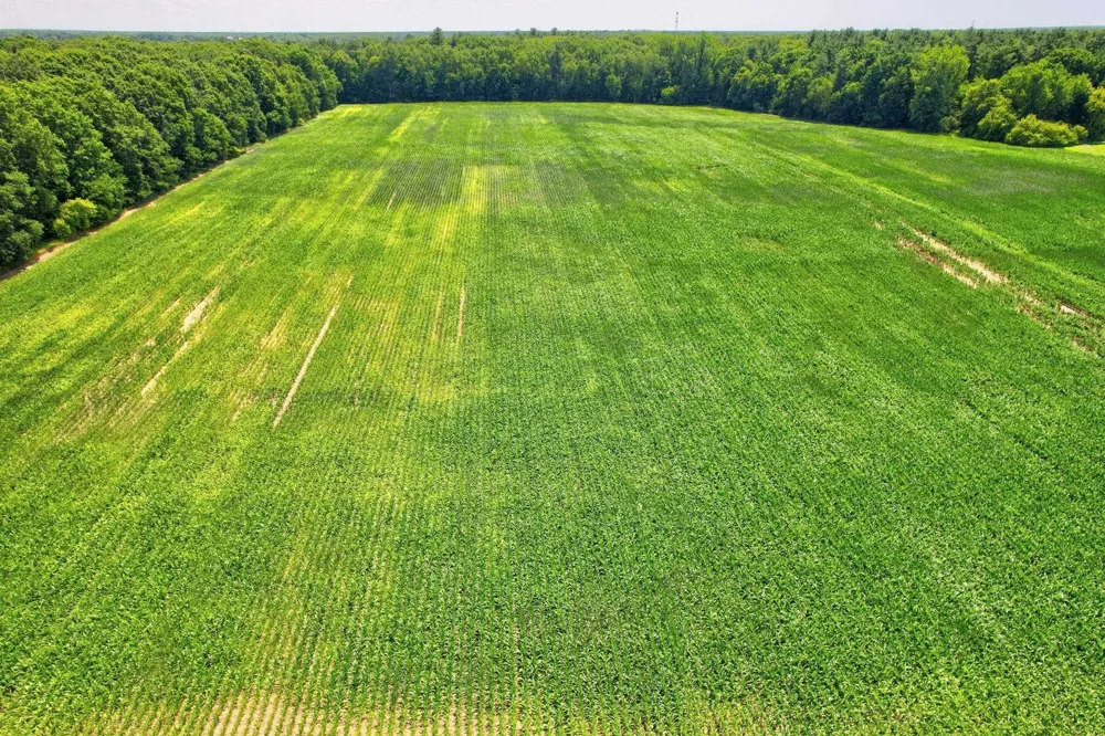 Curtis Road Frankenmuth Township, MI 48734