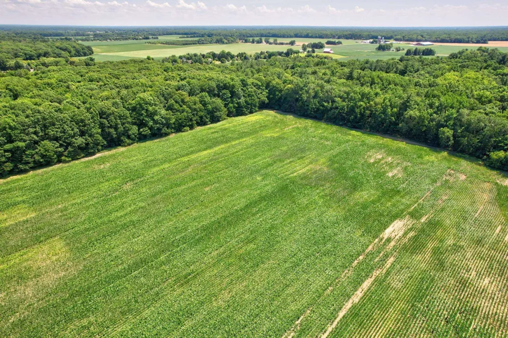 Curtis Road Frankenmuth Township, MI 48734