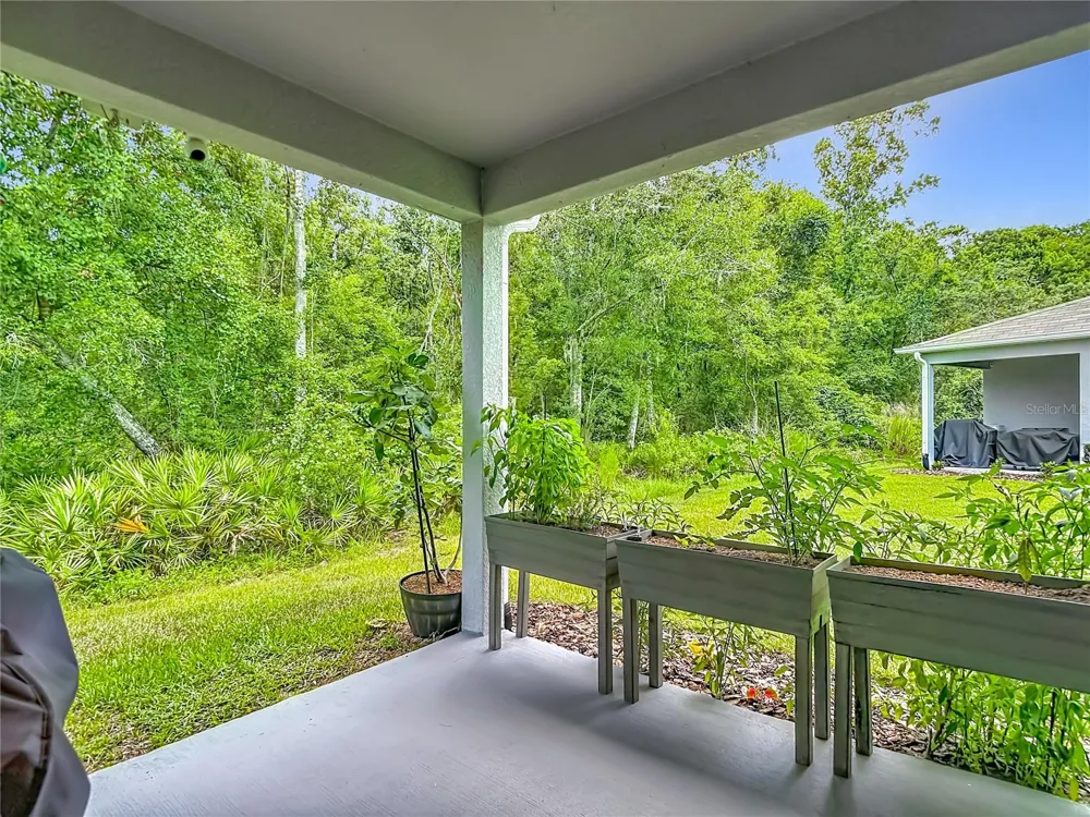 11994 GRIZZLY LANE New Port Richey, FL 34654