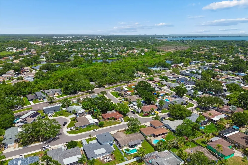 416 MAPLEWOOD DRIVE Oldsmar, FL 34677