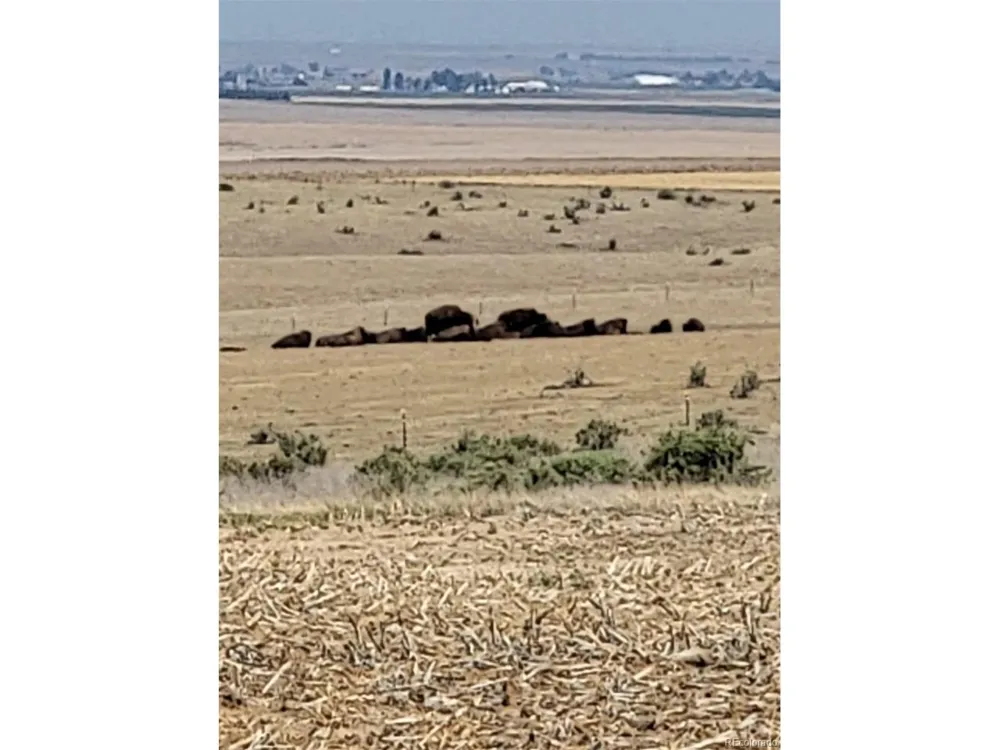 0 County Road 81 Roggen, CO 80652