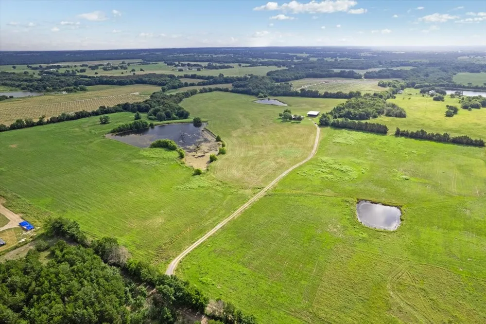 258 County Road 14665 Paris, TX 75462