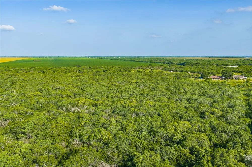 8259 Baldwin Mathis, TX 78368